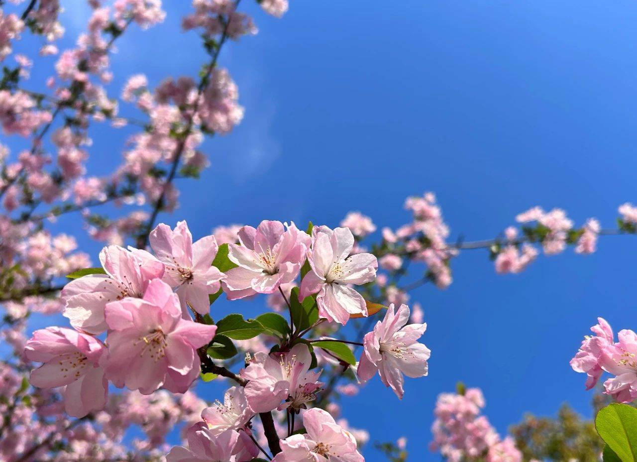 富康彩票免费-富康彩票免费v7.1.5