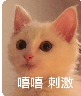 《追風箏的人》：為你，千千萬萬遍！關(guān)于友情、背叛和救贖